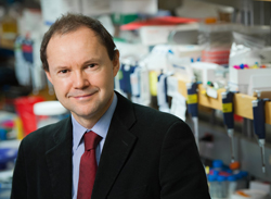 David Huntsman receives inaugural research award from Ovarian Cancer Canada