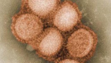 H1N1 discovery paves way for universal flu vaccine