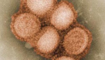 H1N1 DISCOVERY PAVES WAY FOR UNIVERSAL FLU VACCINE