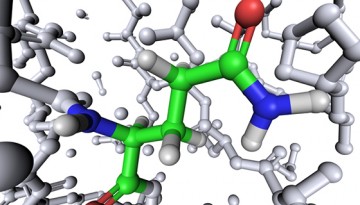 BC Proteomics Network receives renewed funding