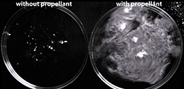 Christian Kastrup's anticoagulant in vitro.