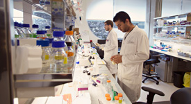 Biomedical Research (MSc & PhD Programs)