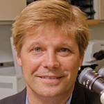 Three faculty members recognized by the American Urological Association