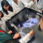 Students learn about internal anatomy while viewing 3-D images on the anatomy visualization table.