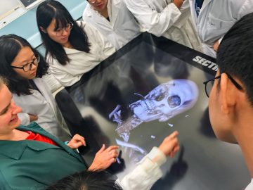 Students learn about internal anatomy while viewing 3-D images on the anatomy visualization table.