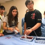 Designed to simulate a breast biopsy, students scan trays of gelatin with hidden “cysts” to practice aspiration and core biopsies.