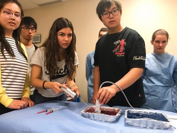 Designed to simulate a breast biopsy, students scan trays of gelatin with hidden “cysts” to practice aspiration and core biopsies.
