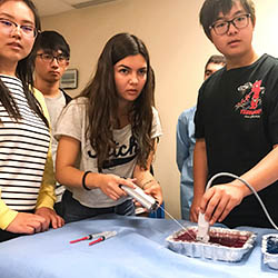 Vancouver Summer Program in Medicine welcomes record number of students from around the world