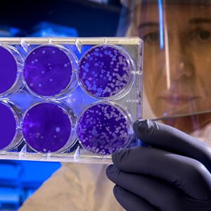 New funding accelerates COVID-19 research at UBC