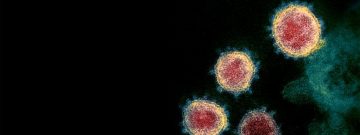 Virtual BC COVID-19 Symposium