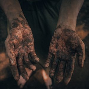 Soil in wounds can help stem deadly bleeding