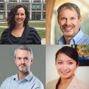 Faculty of Medicine members receive $3.8M to pursue research in various natural sciences and engineering disciplines