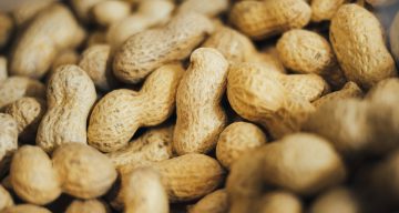 Peanut allergy treatment significantly lowers risk of life-threatening reactions in preschoolers