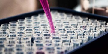 Scientists in faculty of medicine receive more than $8M in federal research funding