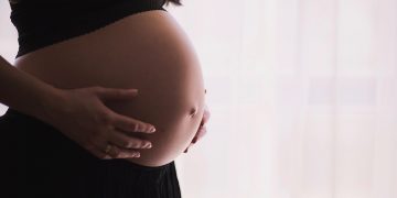 New research highlights the importance of a forgotten organ in ensuring healthy pregnancies