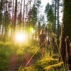 Woman walking through green forest with sun setting in the background
