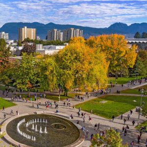 Faculty of Medicine researchers awarded $26 million through CIHR Project Grants