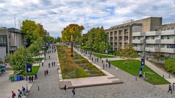 Health professionals at faculty of medicine receive Michael Smith Health Research BC funding