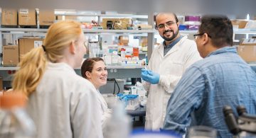 Collaboration in a School of Biomedical Engineering lab.