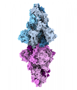 Delta vs. Kappa: study examines molecular factors that fuel COVID-19 variants