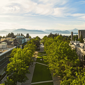 Faculty of medicine members among Health Innovation Funding Spring 2022 recipients