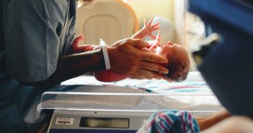 A newborn baby is held over a scale by a health care worker wearing blue scrubs.