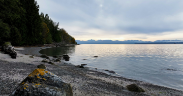 A view of a beach with rocks and water