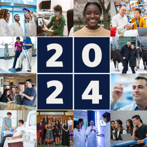 Year in Review 2024